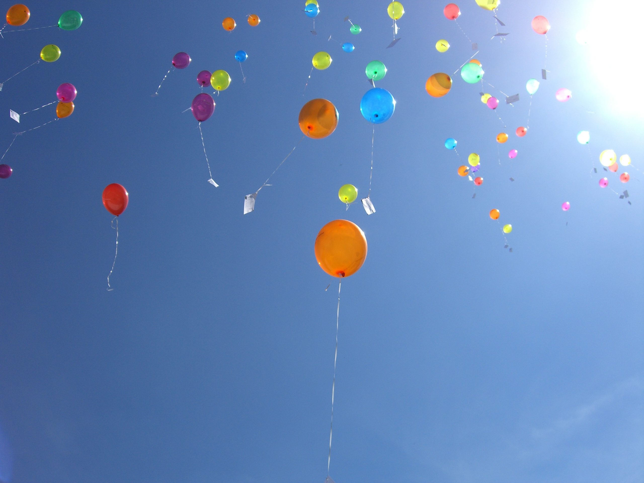 Ballonger som flyger upp mot en blå och solig himmel.